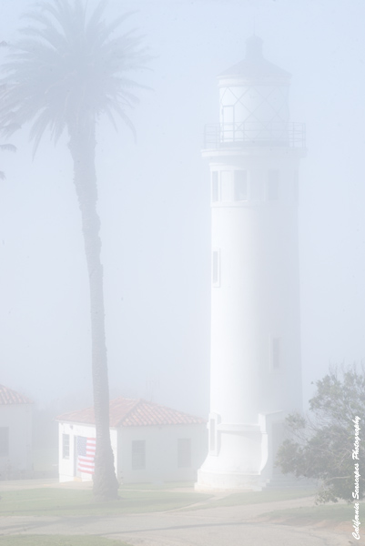 Pt Vicente Lighthouse Fog 02