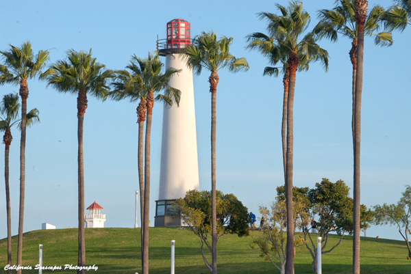 Long Beach Lighthouse  and Palms 02